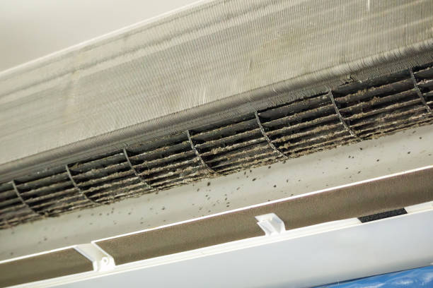 Best Best Air Duct Cleaning Company  in El Cerro, NM